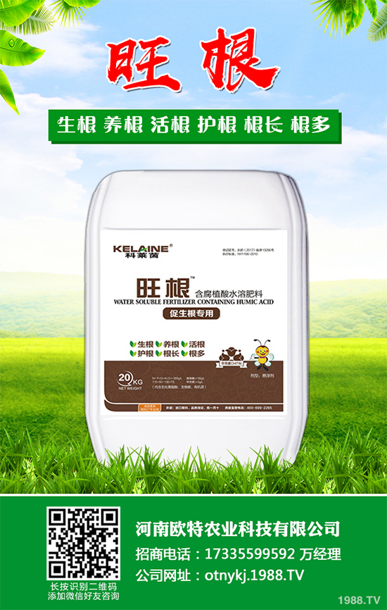 蘑菇種植需要什么條件？蘑菇種植環(huán)境要求