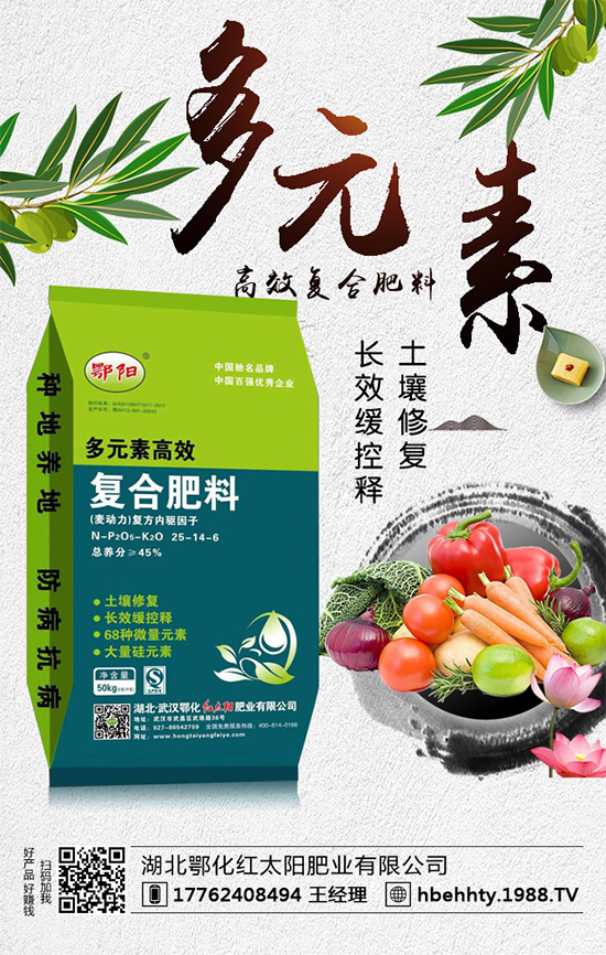 洋蔥什么時間種植？洋蔥的種植要點！