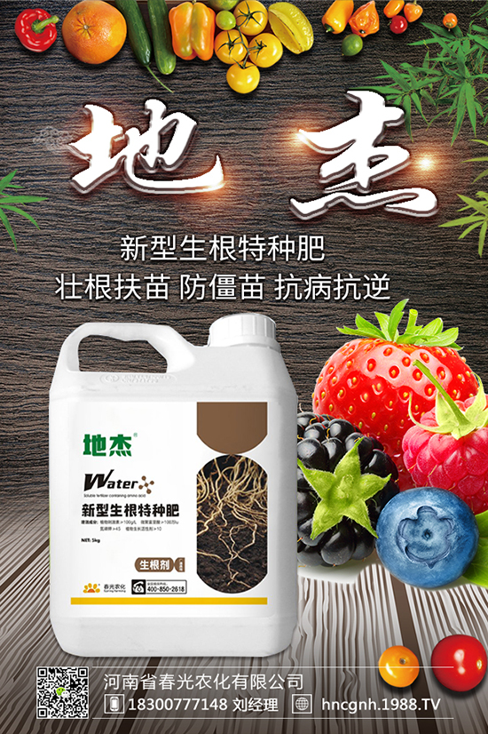 風(fēng)鈴花養(yǎng)殖方法 風(fēng)鈴花養(yǎng)殖注意事項