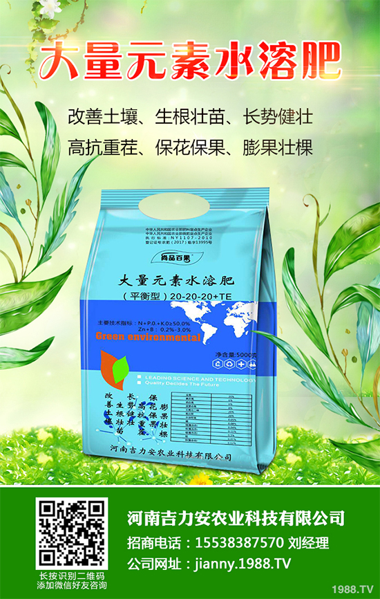 花椒樹什么時候種植？花椒樹種植季節(jié)及種植技術(shù)要點