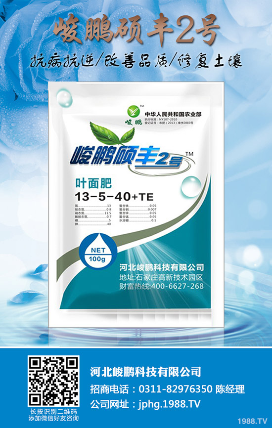 ����ʲô�r(sh��)��׷��������׷��ע��Ҫ�c(di��n)��