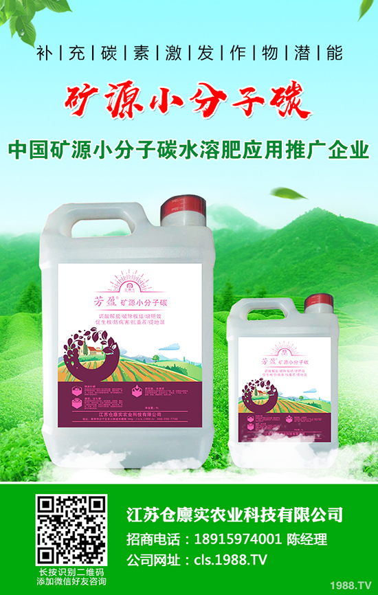 ����������m(x��)����(sh��)��2019-12-21�����������؃r(ji��)�����(b��o)