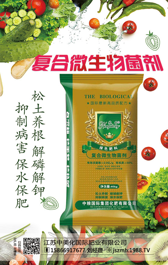     蘆筍市場(chǎng)價(jià)多少錢(qián)一斤？2020年蘆筍種植前景怎么樣？種植效益分析！