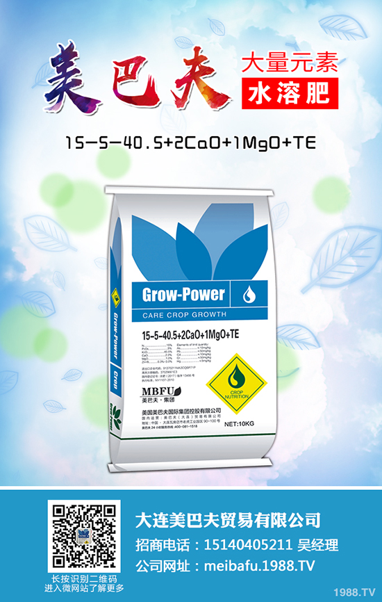 2020種植蒲公英賺錢嗎，蒲公英的種植前景和利潤怎么樣？