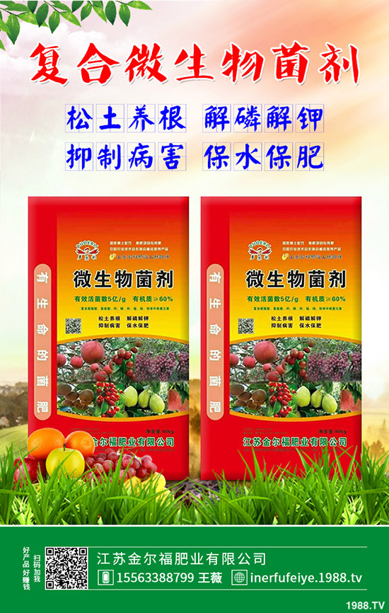     2019��12��23�����؃r(ji��)��������������ո��؅^(q��)�����������S��(b��o)�r(ji��)��