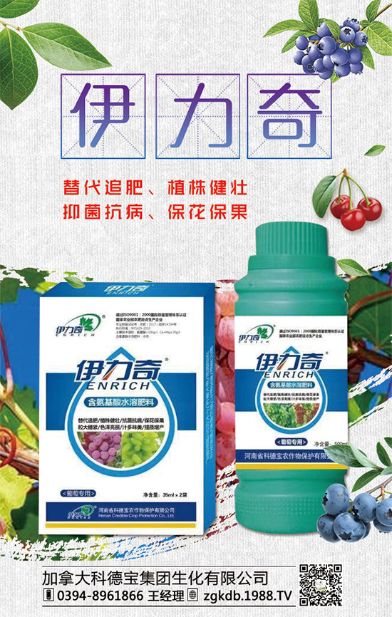     �R�����P(gu��n)�����@�����Ƿ��ϸ���2020����@�r(ji��)�������߄��A(y��)�y��