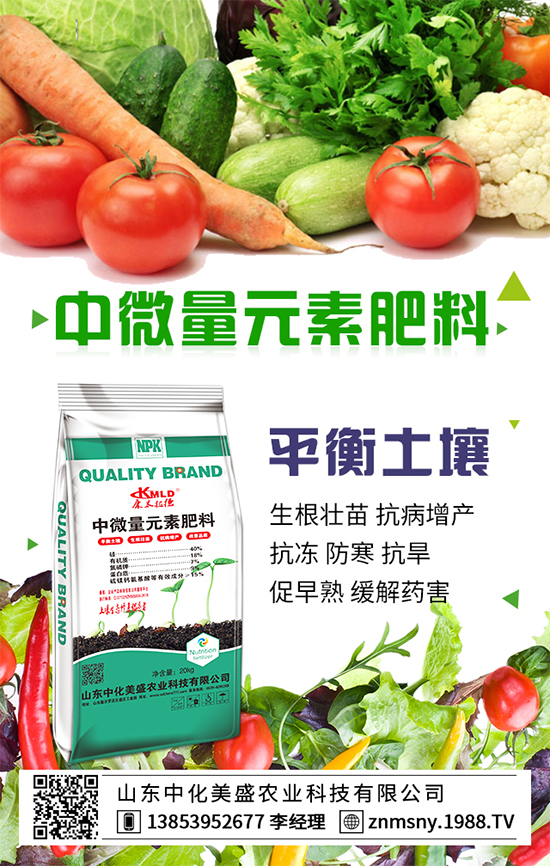 茶樹菇如何種植？茶樹菇的種植技術(shù)！