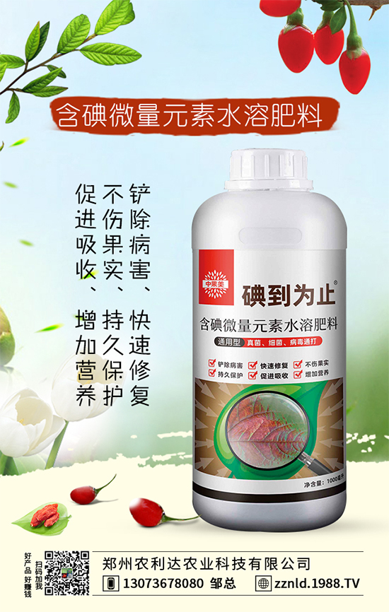 �t�}����ι��������S�գ�����ƌW�����҂�֪������