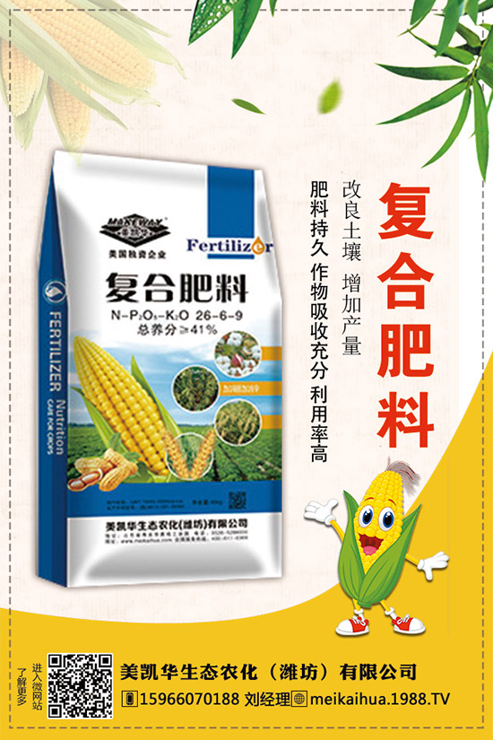     2019�������һ�@��������r(ji��)��C�Ϸ�����(b��o)����