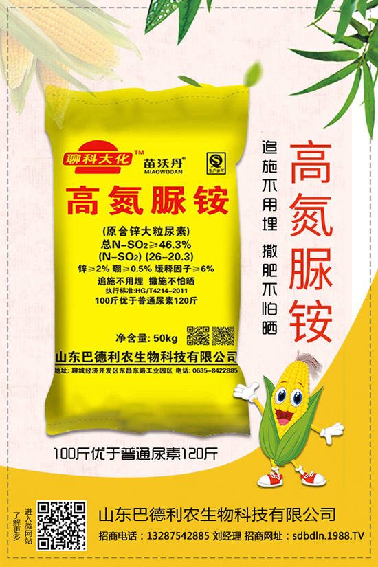     ����⛷�2019�������r��C���u�y������