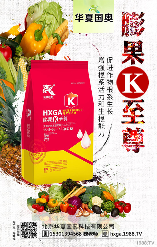 仿野生靈芝栽培方法 仿野生靈芝栽培技術