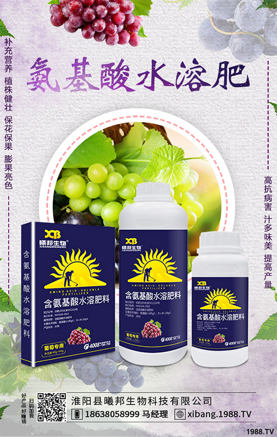 明年種植什么更賺錢？2020年七大賺錢種植項目，快來看看吧！