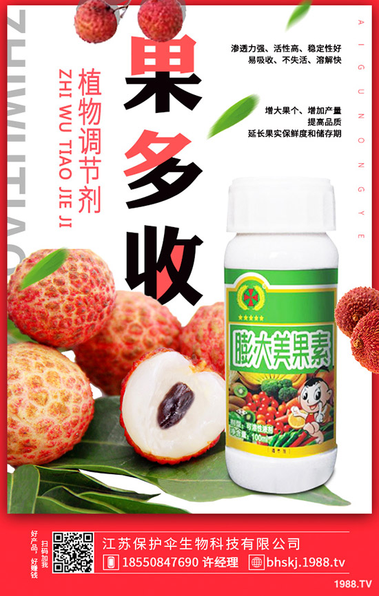 大蒜更新價(jià)格多少錢(qián)一斤？2020年大蒜種植前景如何？