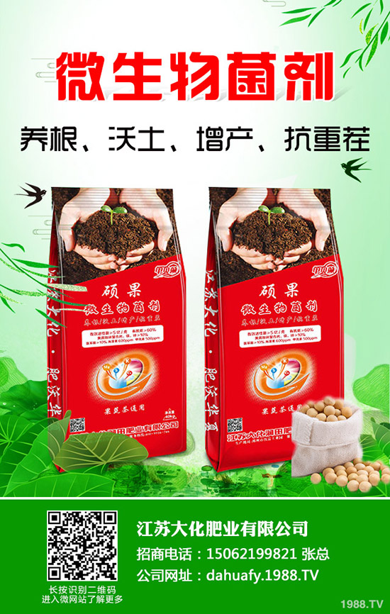 香菜一畝產(chǎn)量是多少？2020種植香菜賺錢嗎？前景和成本利潤如何？