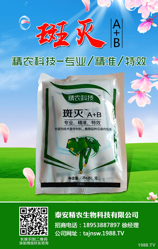 吃蠶豆對人體有哪些好處，蠶豆的功效與營養(yǎng)價值！