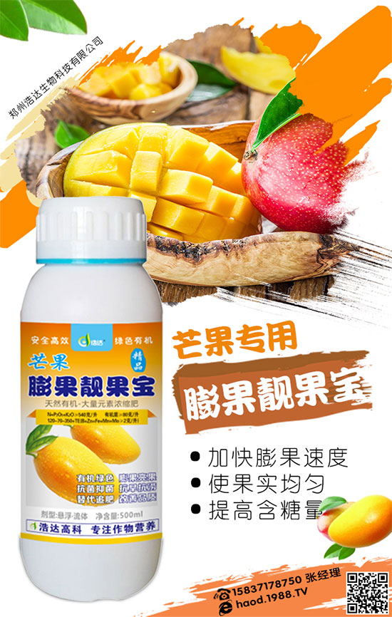 黃皮果的成本與利潤(rùn)分析，黃皮果的種植技術(shù)！