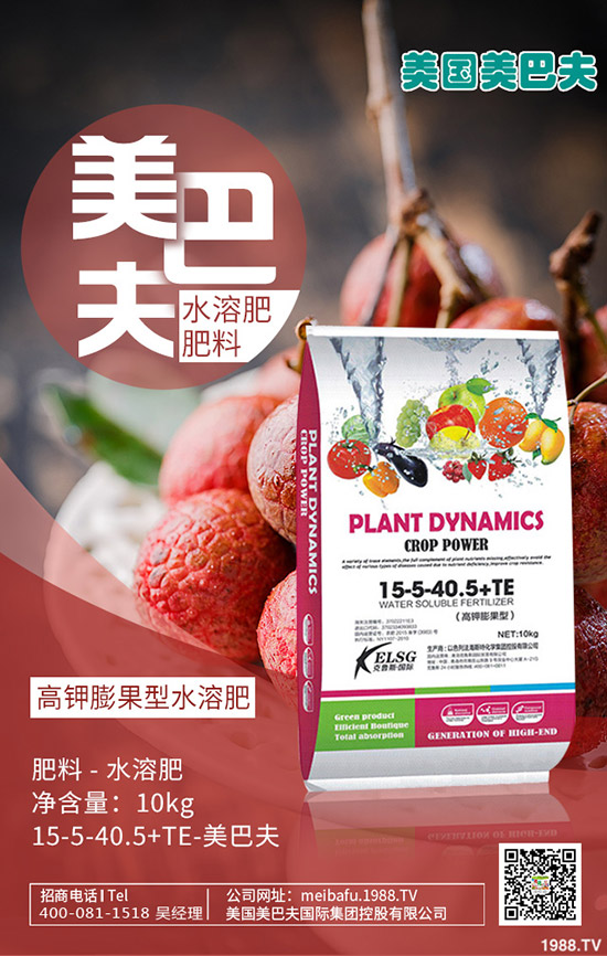     構(gòu)樹產(chǎn)地在哪里？種植構(gòu)樹國家還補貼！2020構(gòu)樹種植前景如何？賺錢嗎？