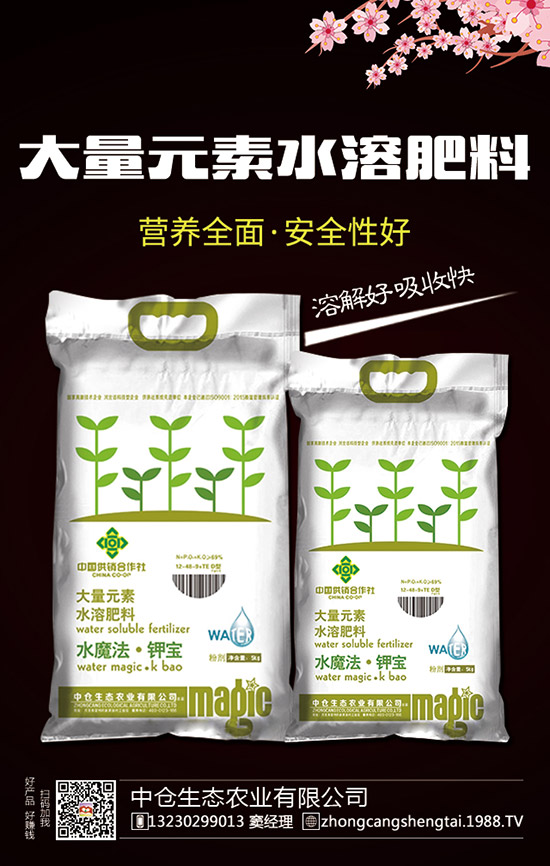     2019��12��28�ս���������(n��i)�ͺϷʃr���߄ݼ��������u