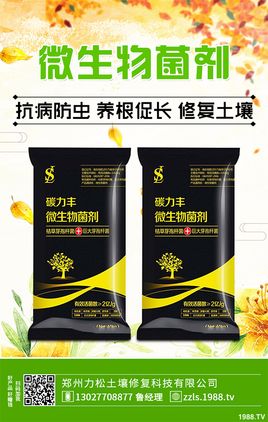 天麻該怎么種植？天麻的環(huán)境要求及種植技巧