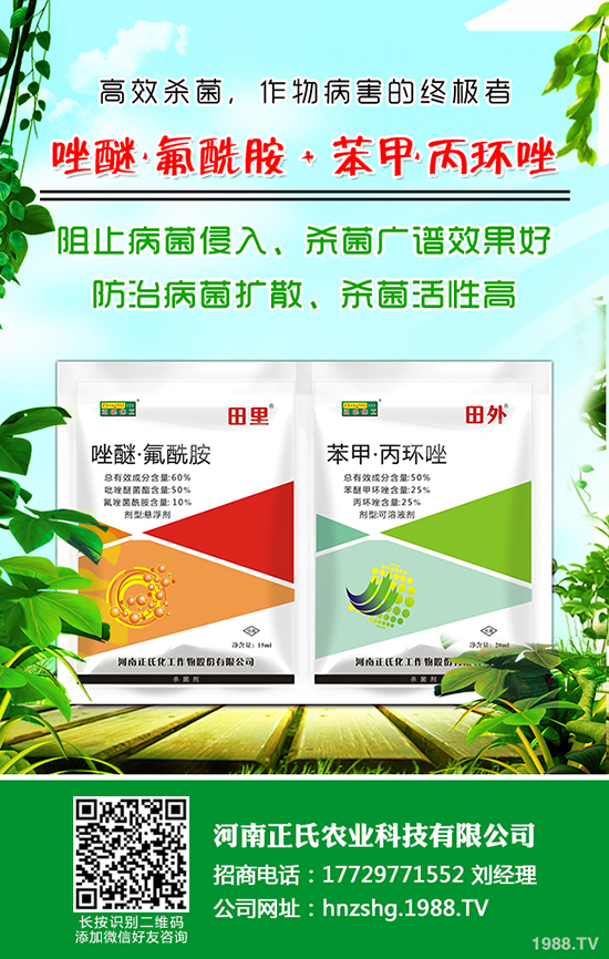 西梅種植的氣候條件，西梅種植的方法！