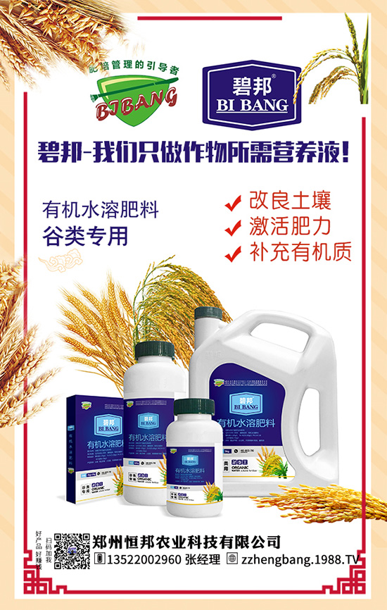 吃天麻有哪些好處？天麻的功效作用及食用禁忌