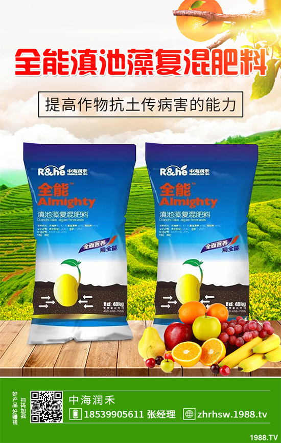 新鮮天麻和干天麻有哪些區(qū)別？那個(gè)效果更好？