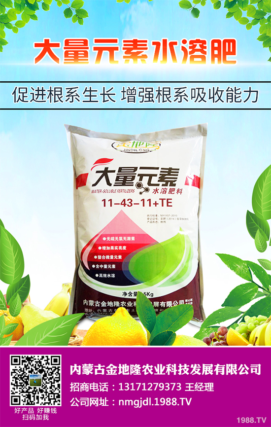 降雪過后，蔬菜大棚你知道該怎么管理嗎？