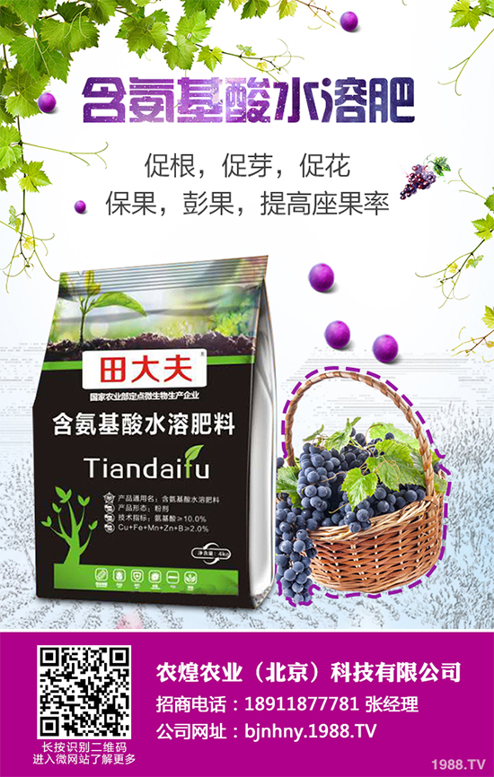 降雪過后，蔬菜大棚你知道該怎么管理嗎？