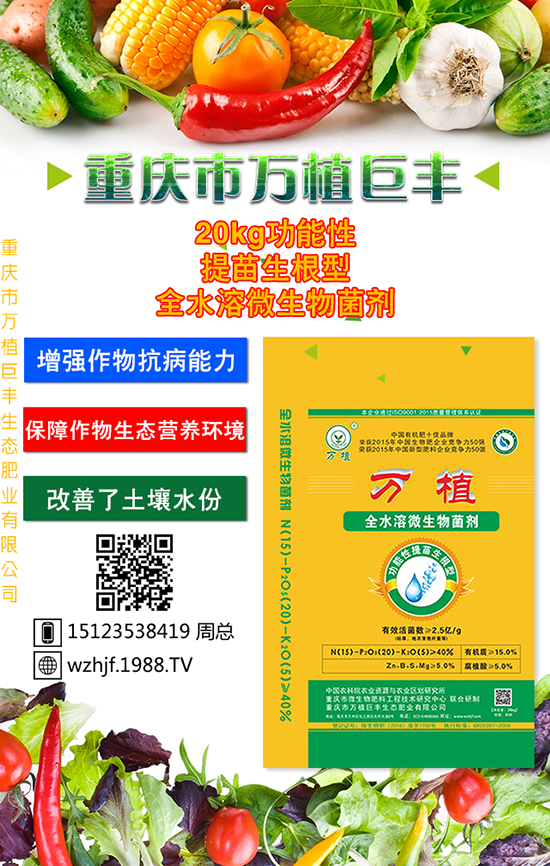 �o(w��)�O��̫�O��̫�O���Ƀx��������ʩ��Ҳ��(hu��)�������ˡ�