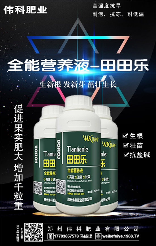     ���ӵĠI(y��ng)�B(y��ng)�r(ji��)ֵ����Щ����Ч�c��������Щ��������Щ��Ⱥʳ����