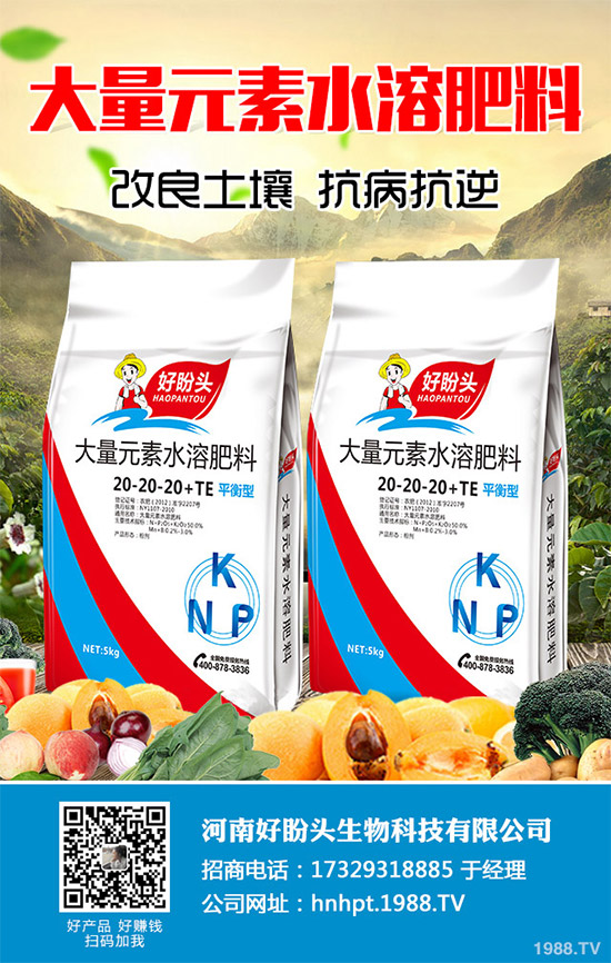 ������֪���Ľ�ɏ���p���ų����w11�N������