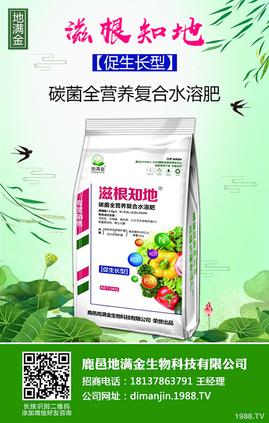     甜糯玉米什么時候種植？種植時間及種植技術(shù)和管理方法！