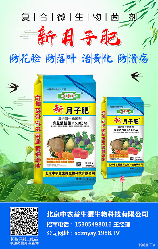     2019-12-5���@�����߄�(sh��)ƽ��������������@�r(ji��)�����(b��o)��