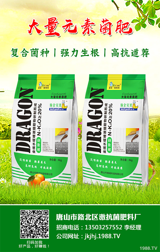 ������۲�����ЩΣ����ԓ��η����������������