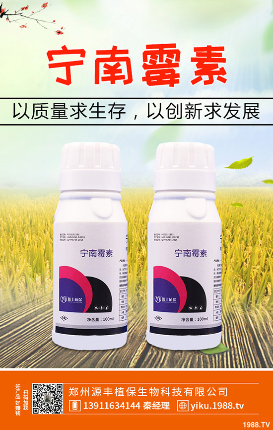 葛根的種植前景怎么樣，葛根的種植技術(shù)有哪些？