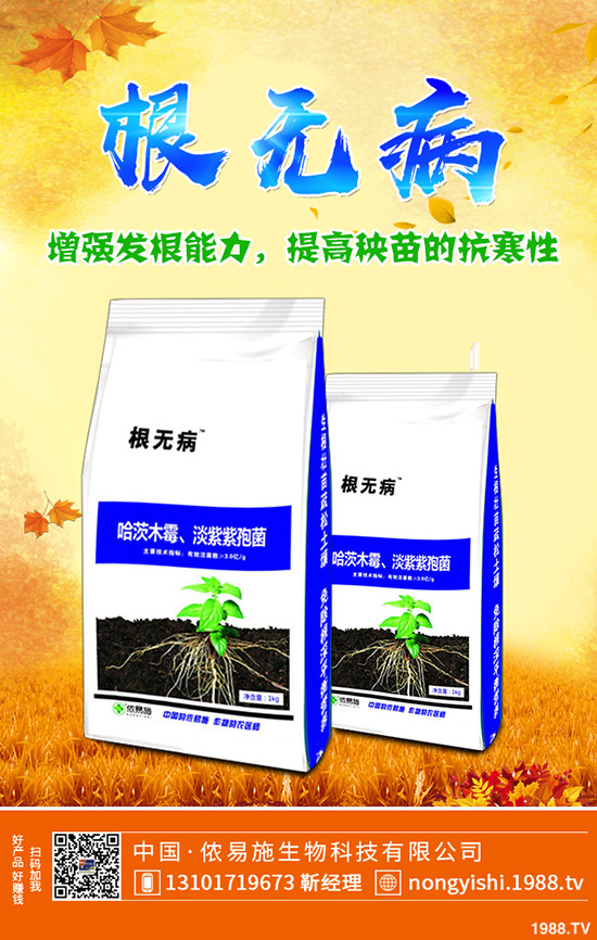 �ڗ��ķNֲҪ�c(di��n)����Щ���ڗ������g����