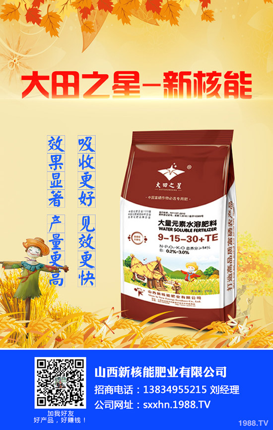     2020年早春辣椒什么時(shí)候種植？育苗技術(shù)及苗期管理要點(diǎn)！