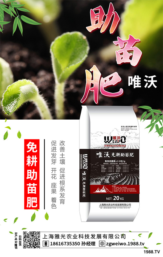     山藥什么時(shí)候采收？山藥的貯藏方法有哪些？