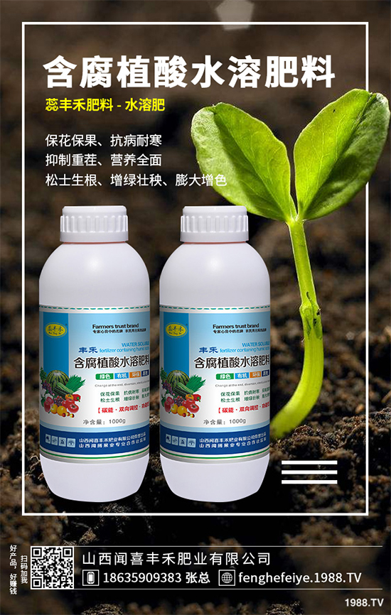 盆栽蔬菜該怎么種？盆栽蔬菜的高產(chǎn)種植技術(shù)
