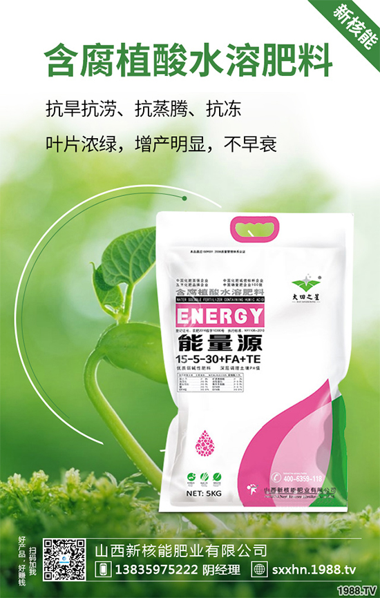 盆栽蔬菜該怎么種？盆栽蔬菜的高產(chǎn)種植技術(shù)