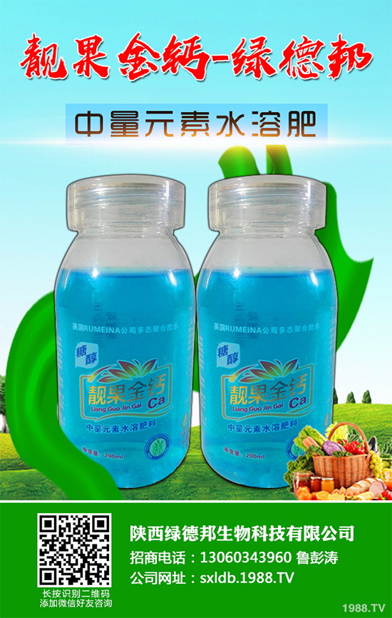 盆栽蔬菜有哪些品種？盆栽蔬菜的種植條件和注意事項