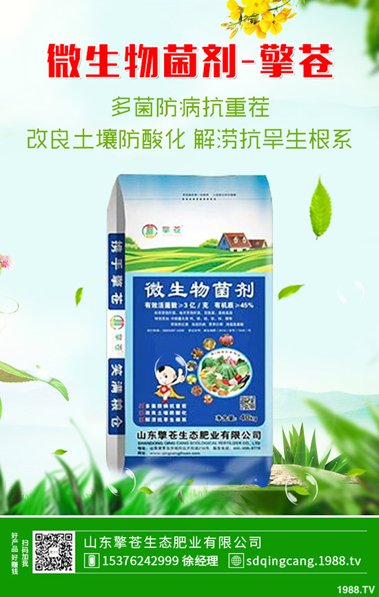     2019-12-7����һ�@�������������һ�@���r�������