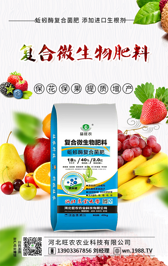 大白菜上的小黑點是什么？如何預防白菜長黑點呢？