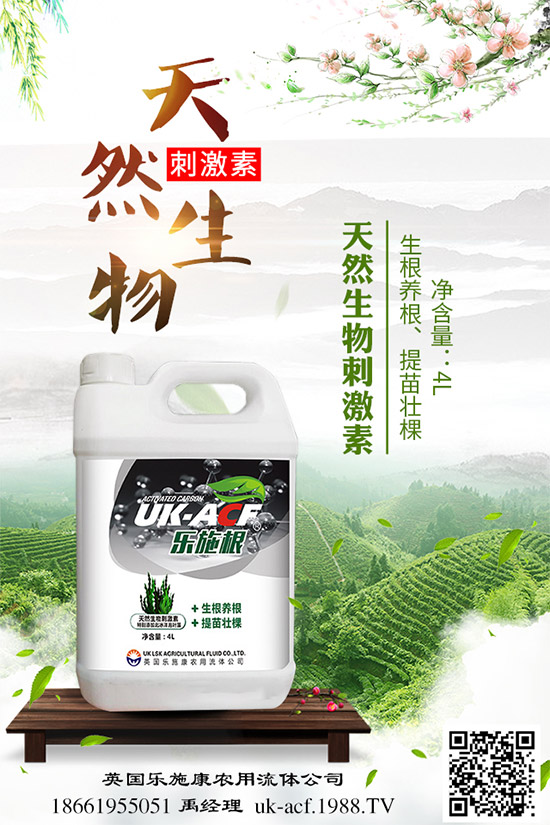 冬季該如何栽培馬鈴薯？七步輕松獲得高產(chǎn)