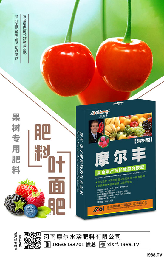 黃精種植到底掙不掙錢(qián)？黃精種植要點(diǎn)分析！