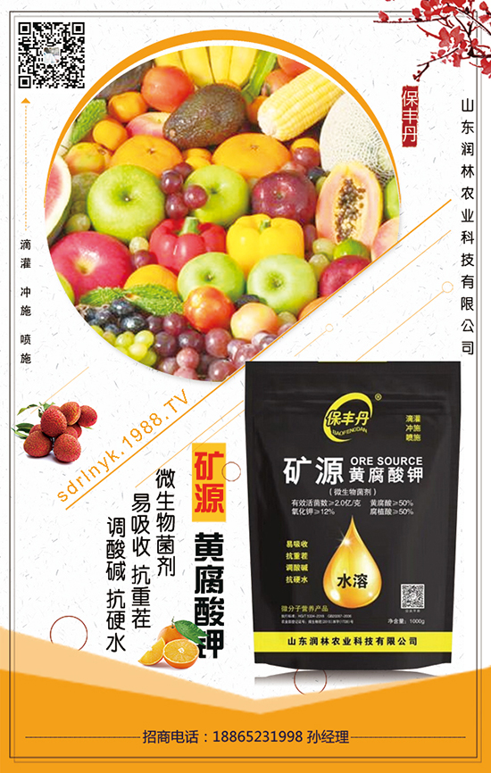 2020���G��Nֲǰ�� 2020���G��NֲЧ��