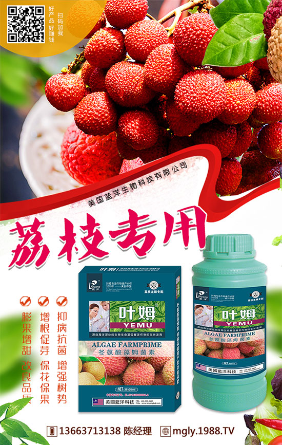 �t�탦(ch��)�ص����أ��t�탦(ch��)������Щ������