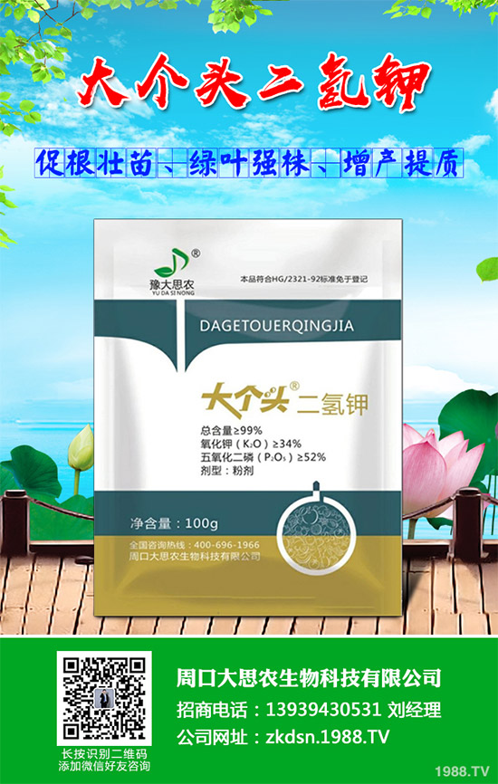 洋薊該如何種植？洋薊高產(chǎn)種植技術(shù)方案