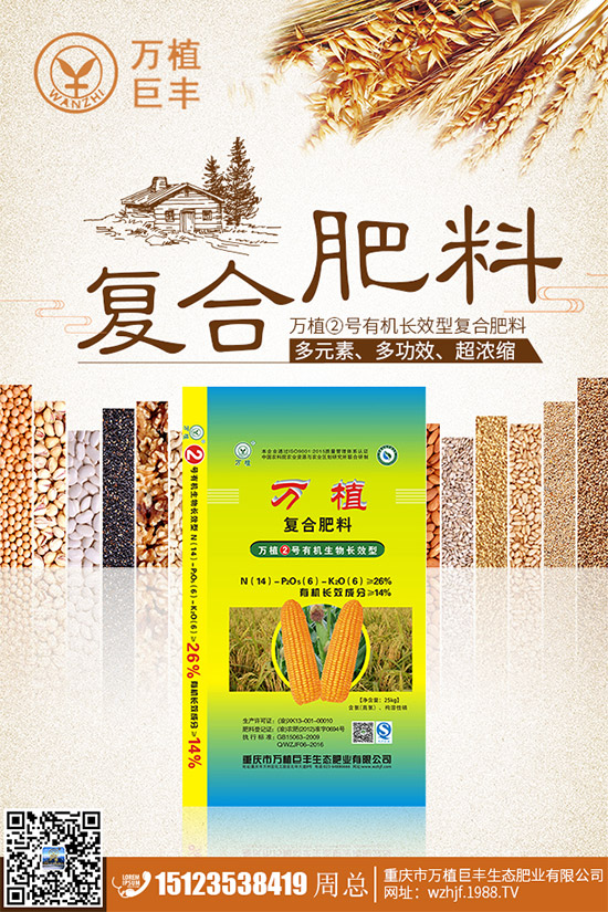 洋薊該如何種植？洋薊高產(chǎn)種植技術(shù)方案