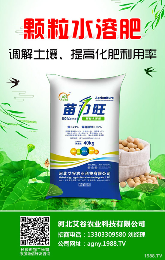 西瓜種植要高產(chǎn)，不可不看這一篇！全面實(shí)用